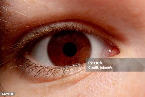 Narrow Brown Eye Closeup Stock Photo - Download Image Now - Anticipation, Aspirations, Beautiful People