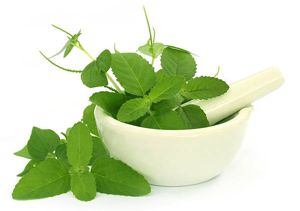 istock Medicinal herbs with mortar and pestle 520915859