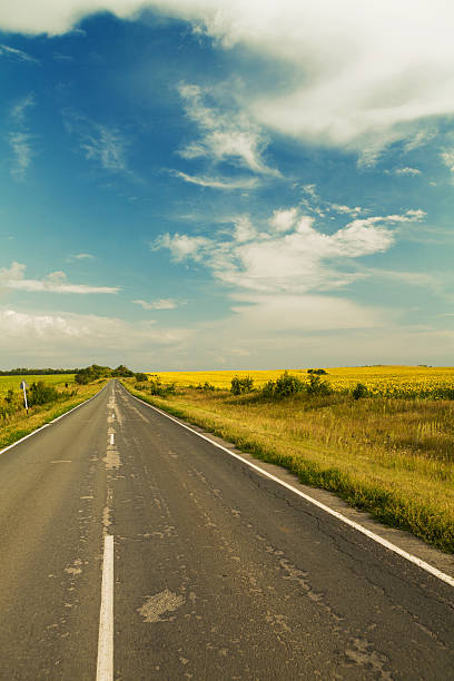 istock Road through the yellow sunflower field 520915909