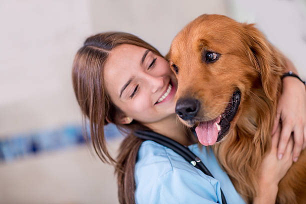 istock Happy vet with a dog 520916003