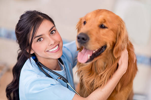 istock Happy doctor with a dog 520916035