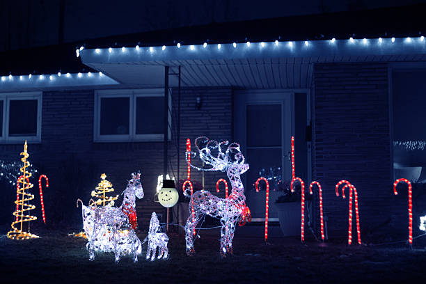 istock Festive Christmas Lights in a Yard at Night 520916119