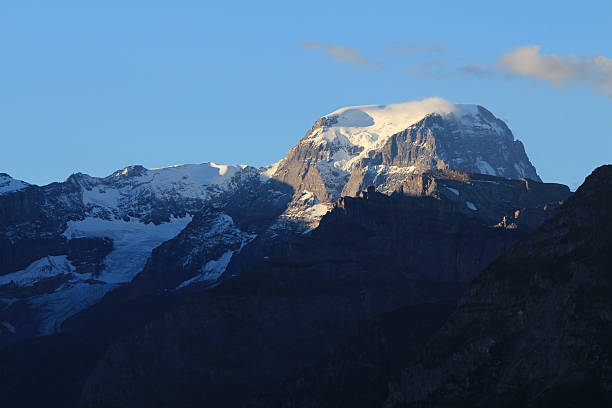 istock Toedi in the morning 520916379