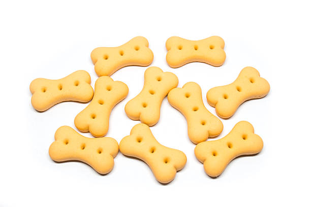 istock Dog biscuit isolated on white background 520935918
