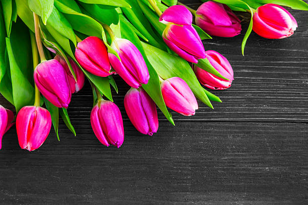 istock Spring pink tulips bouquet over wooden background 520940800