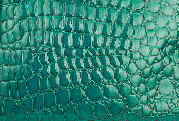 istock Green alligator / crocodile skin leather (wallpaper,background) 520941485