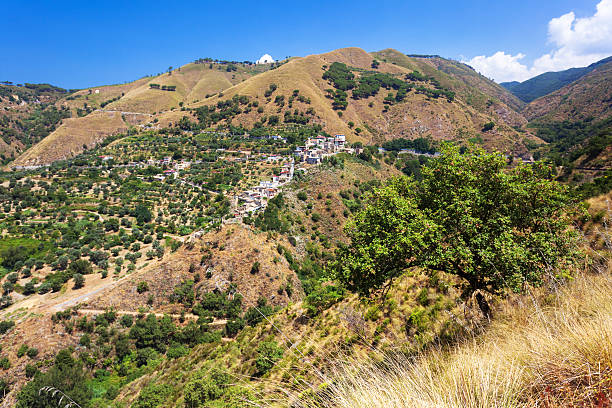istock Typical landscape of Calabria 520941854