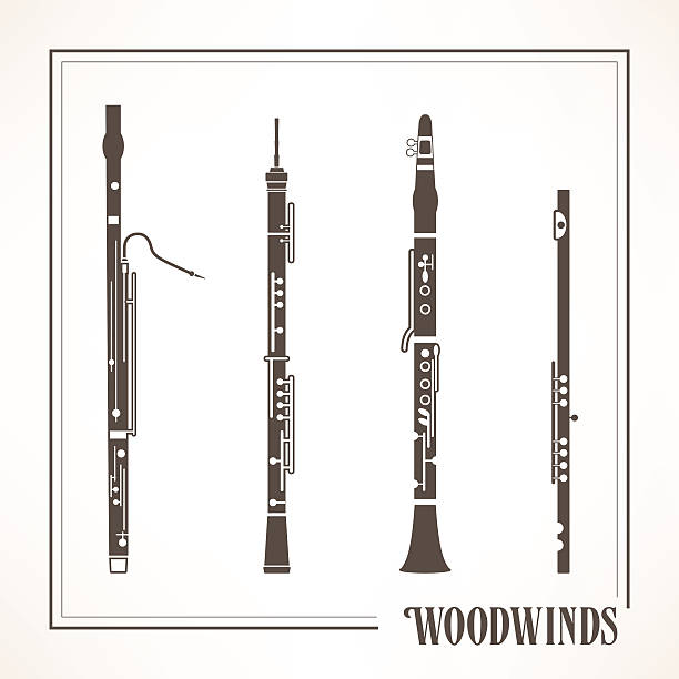 ilustrações, clipart, desenhos animados e ícones de instrumentos de sopro de madeira - oboe