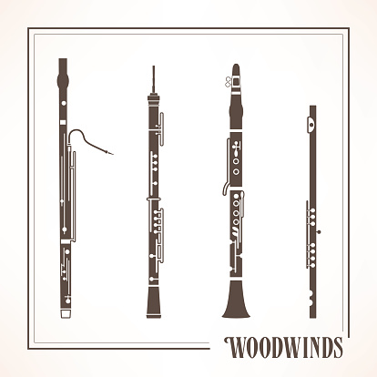 Woodwinds instruments set with frame