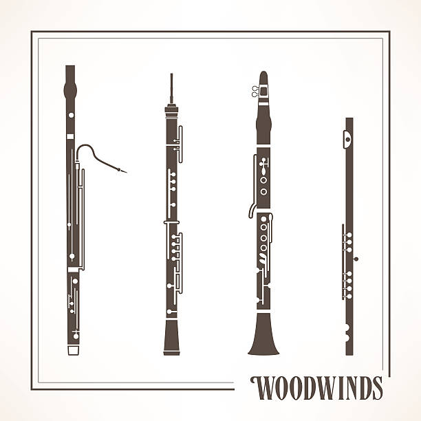 Woodwinds Woodwinds instruments set with frame piccolo stock illustrations