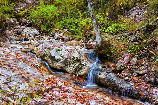 istock Enchanted Autumn Forrest Creek 520942685