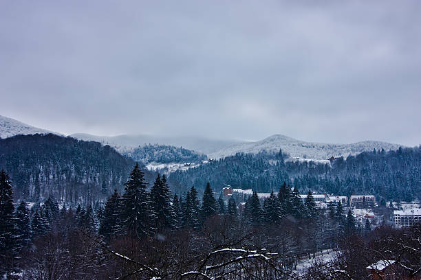 istock View of Carpathian mountains in Yaremche 520942738