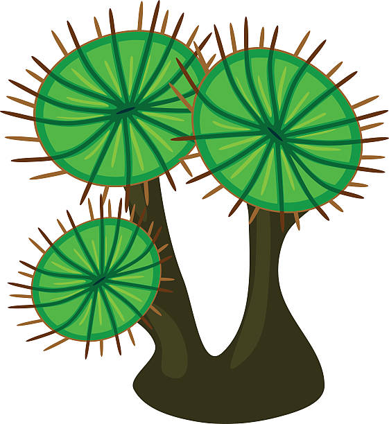 palythoa - anthozoans stock illustrations