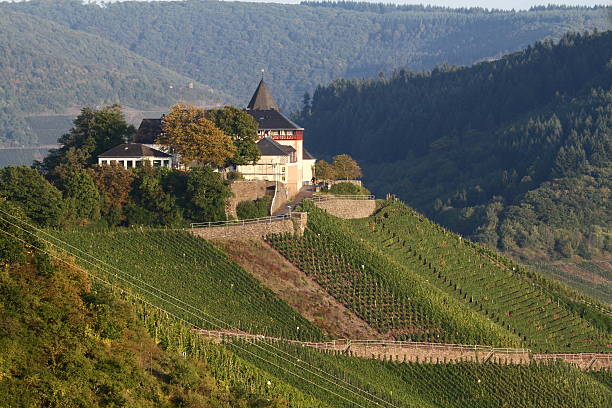 istock Marienburg in the Moselle valley 520943111