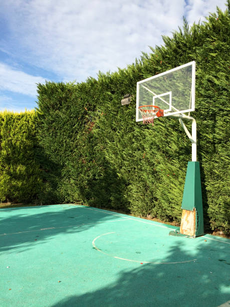 istock Basketball court in the backyard 520943171