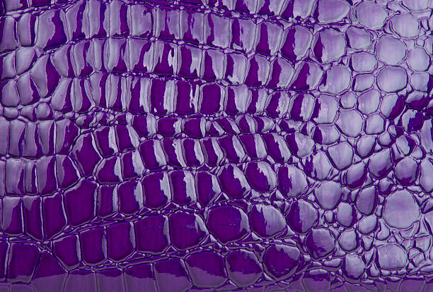 Purple alligator / crocodile skin leather (wallpaper,background)