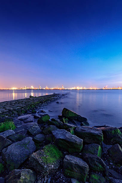 moody paesaggio marino lungo il fiume nieuwe waterweg - nieuwe waterweg foto e immagini stock