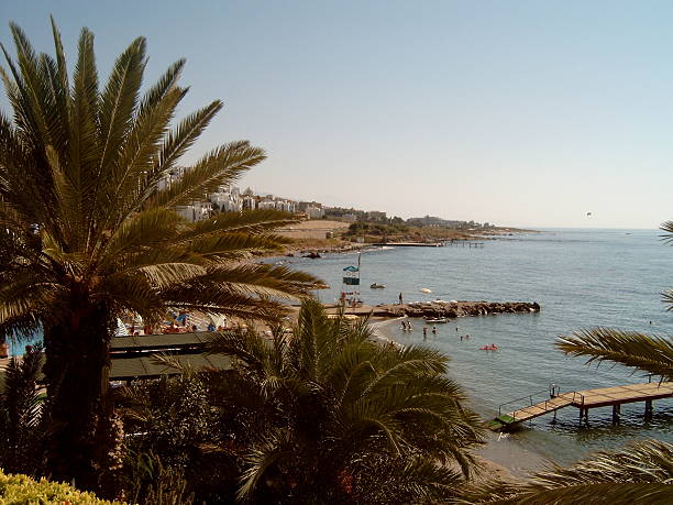 istock beautiful bay with a palm tree in the foreground 520944883