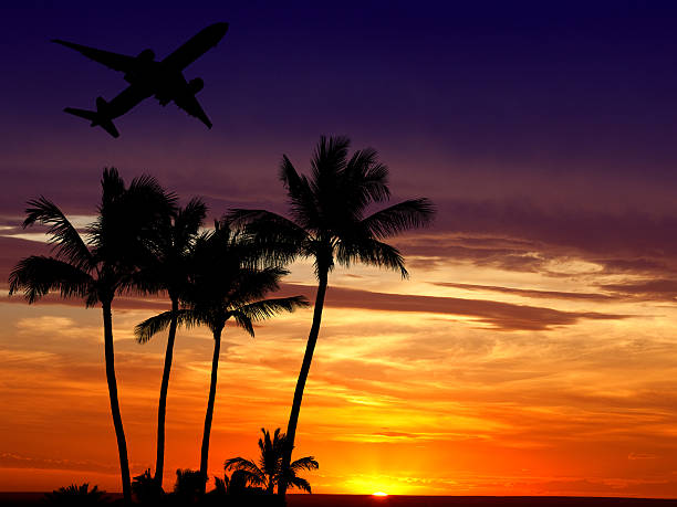 istock Airplane Against Hawaiian Sunset 520944999