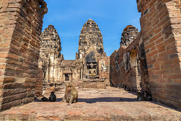 Monkey sit at Phra Prang Sam Yod . Lopburi, Thailand. Religious buildings constructed by the ancient Khmer art.