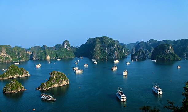 istock Junk Boats in Halong Bay 520946109