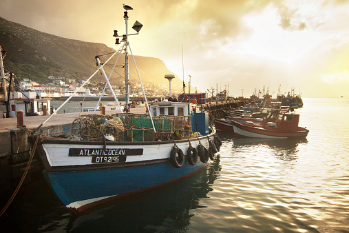 Green fishing trawler boat with life buoys tied in harbor