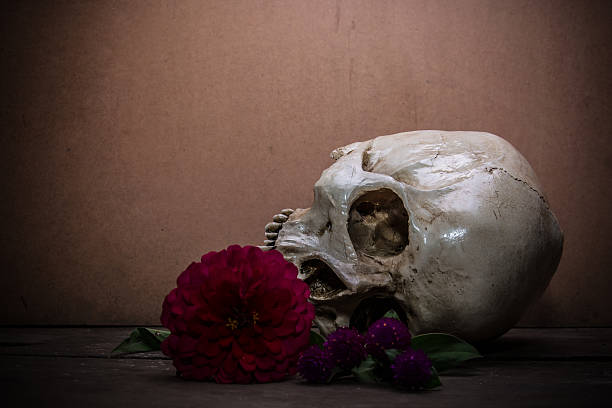 istock the human skull with flowers 520958639