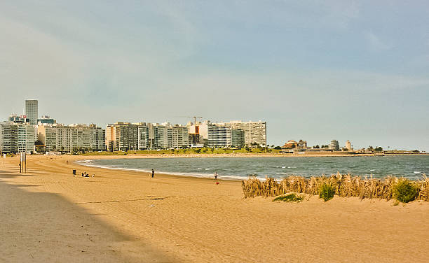 istock Beach and Buildings of Montevideo 520958779