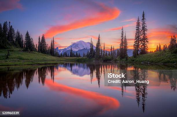 Tipsoo Lake Stock Photo - Download Image Now - Mt Rainier, Washington State, Seattle