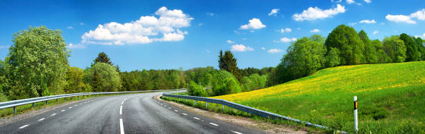 istock Asphalt road and dandelion field 520961661