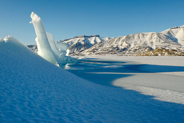 lód dryfujący w zatoce na wyspie spitsbergen. - ice arctic crevasse glacier zdjęcia i obrazy z banku zdjęć