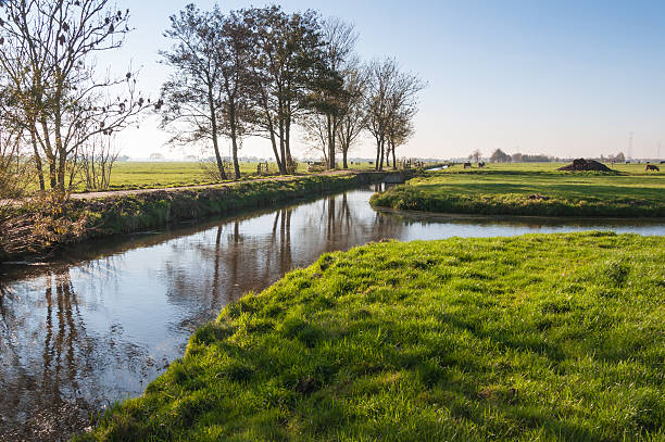 istock Dutch polder landscape in autumn 520962013