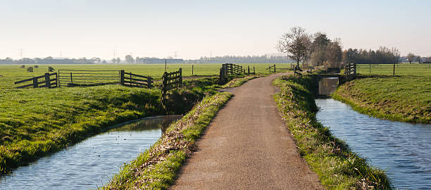 istock Fences in a Dutch polder landscape 520962029