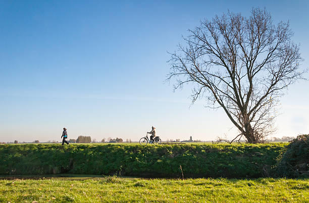 Dutch dike in low autumnal sunlight