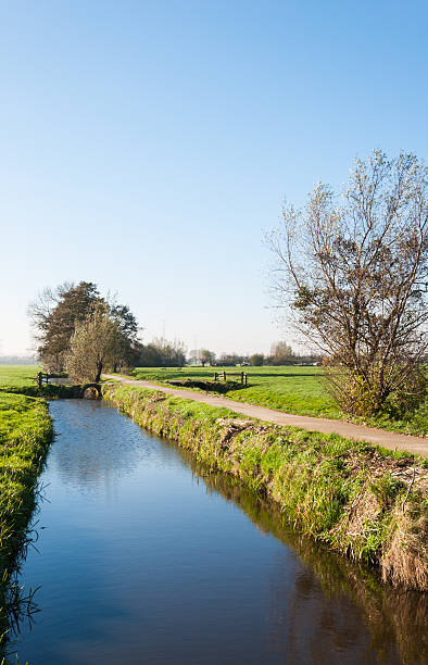 istock Dutch polder landscape in autumn 520962797