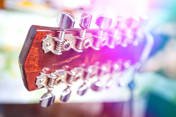 istock Head of the twelve-guitar 520963305