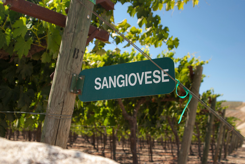 California Sangiovese sign