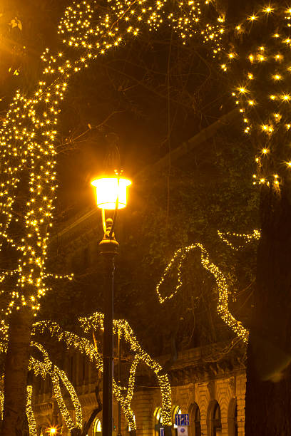 istock Decorated street at christmastime in Budapest 520964467