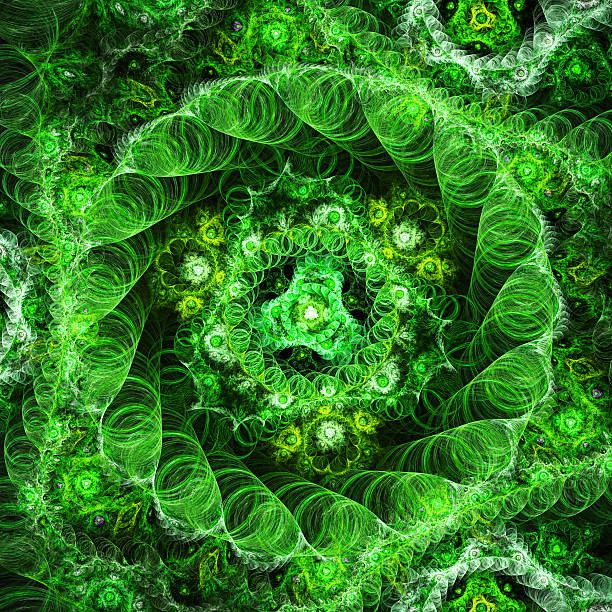 istock Bouquet exotic fractal flowers. 520972310