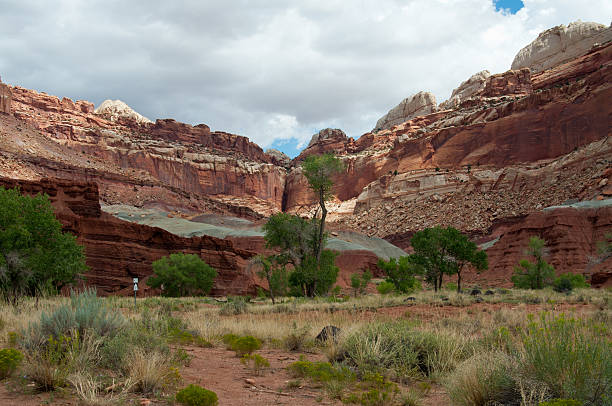 istock Valley View of Capitol Reef National Park 520973589