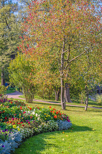 istock Autumn in the Catherine Park. 520973968