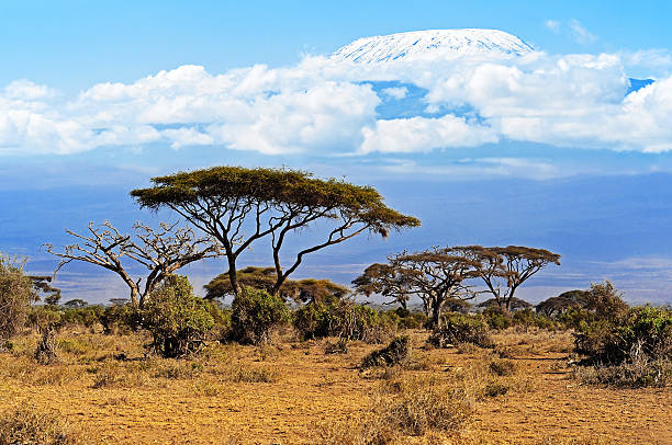 istock Mount Kilimanjaro in Kenya 520974158