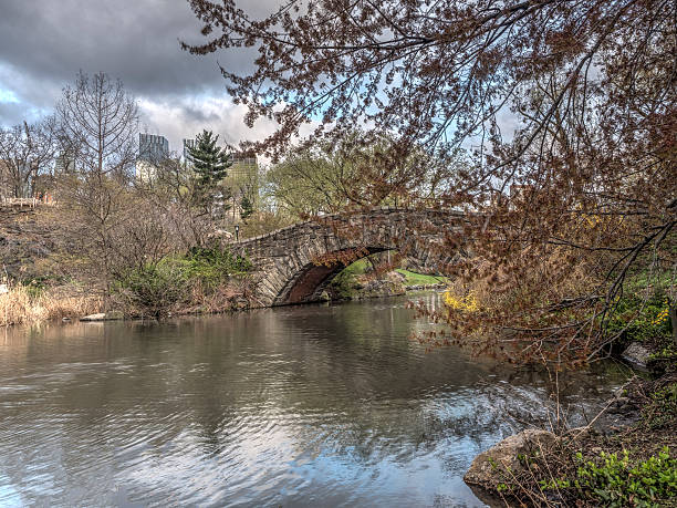 istock Gapstow bridge Central Park, New York City 520975684
