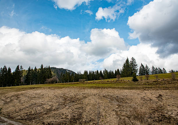istock amaizing mountains meadow in Bavaria 520975726