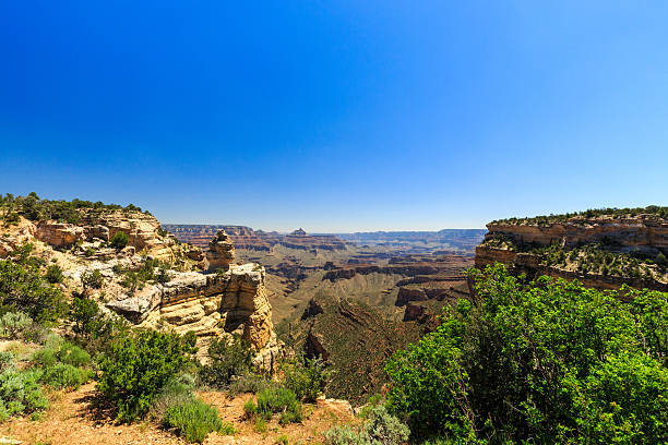 istock Grand Canyon, south rim,  sunny day with blue sky 520975738
