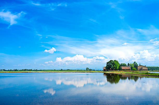 Lomellina paddy field springtime panorama. Color image stock photo