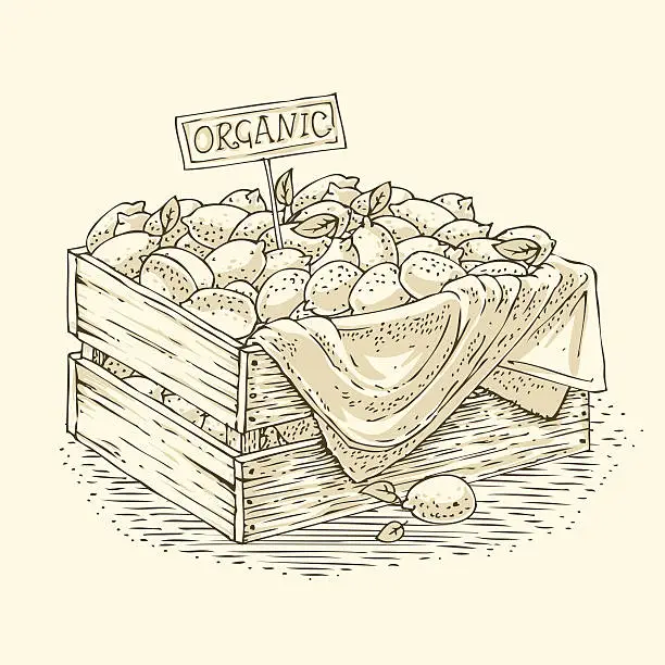 Vector illustration of Engraving Wooden Box with Ripe Lemons