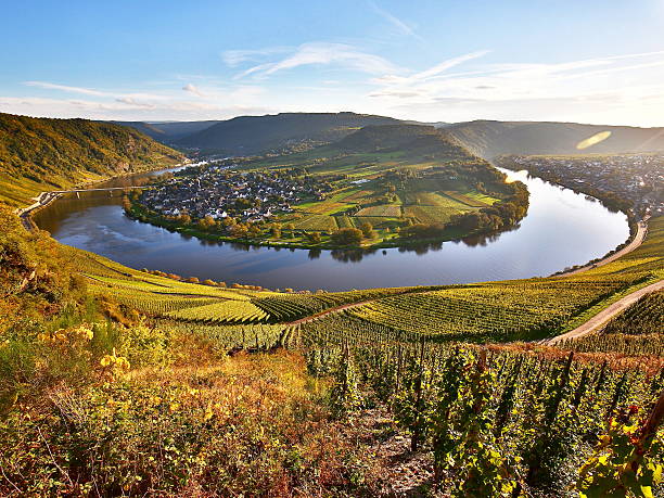 Moselle loop near Kröv in autumn Loop of Mosel river, village Kröv and vineyards rhineland palatinate photos stock pictures, royalty-free photos & images