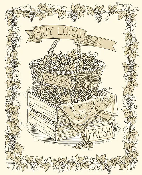 Vector illustration of Engraving Wicker Basket and Wooden Box with Ripe Grape