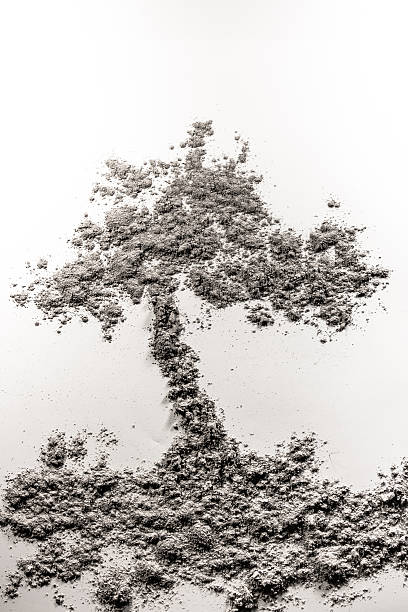 istock Tree in the ground illustration made of ash 520978098